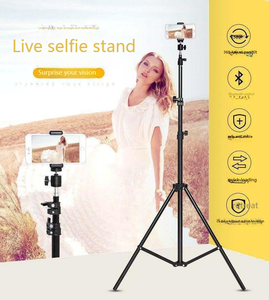 La <span class=keywords><strong>mini</strong></span> <span class=keywords><strong>foto</strong></span> ligera es un <span class=keywords><strong>mini</strong></span> <span class=keywords><strong>estudio</strong></span> fotográfico a precio <span class=keywords><strong>de</strong></span> fábrica <span class=keywords><strong>para</strong></span> fiestas <span class=keywords><strong>de</strong></span> bodas, capturando momentos inolvidables - Product Image 5