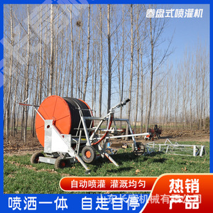 200 - Product Image 5