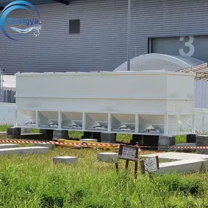 Mini contenedor de aguas residuales MBBR Paquete Planta de tratamiento de aguas residuales Restaurante Granja Planta de fabricación Equipo de aguas residuales domésticas