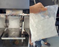 Distributeur automatique de glaçons de grande capacité Shanghai Miracle pour l'extérieur