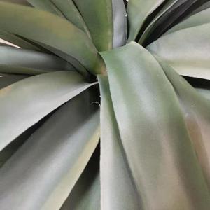 Paisaje de las plantas de <span class=keywords><strong>interior</strong></span> o al aire libre decoración falso plantas de <span class=keywords><strong>Agave</strong></span> - Product Image 5