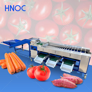 Clasificadora de Cítricos y Arándanos HNOC, Clasificadora de Tomates Cherry, Máquina de Clasificación y Lavado de Frutas, Mango, Manzana - Product Image 1