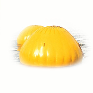 Sac de levage sous-marin de type parachute, sac de flottabilité robuste en PVC avec valve de décharge pour la récupération d'objets coulés lors de plongées - Product Image 1