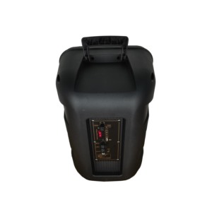 Quảng Châu OEM/ODM Nhà Máy Hi Fi Soundbox Portable <span class=keywords><strong>Audio</strong></span> Player 12 Inch <span class=keywords><strong>Usb</strong></span> Home Đảng Loa - Product Image 5