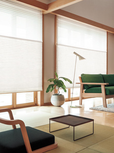 Motorized Honeycomb <strong>Blinds</strong> Cellular Blackout Honeycomb Shades Day <strong>and</strong> Night <strong>Blinds</strong> Smart Cellular <strong>Blinds</strong> - Product Image 4