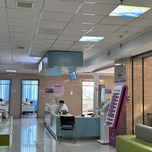 แผ่นซีเมนต์เสริมแรงปราศจากแร่ใยหินแผ่นผนังด้านนอกสไตล์โรงแรมแบบมีรูพรุนดีไซน์ทันสมัย - Product Image 5