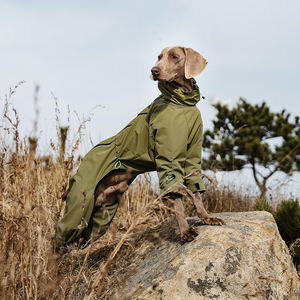 Veste de randonnée <span class=keywords><strong>pour</strong></span> grand <span class=keywords><strong>chien</strong></span>, veste <span class=keywords><strong>imperméable</strong></span> personnalisable <span class=keywords><strong>avec</strong></span> harnais réglable, fabricant de luxe de vêtements <span class=keywords><strong>pour</strong></span> animaux de compagnie - Product Image 2
