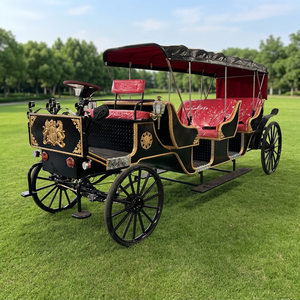 Calèche de Mariage de Luxe Électrique pour Visites Touristiques, Calèche Princesse Personnalisée par les Fabricants, Vente Chaude - Product Image 1