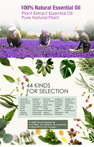 Huile Essentielle Complète d'<span class=keywords><strong>Ylang</strong></span> <span class=keywords><strong>Ylang</strong></span> Marque Blanche pour la Fabrication de Parfums et la Relaxation en Aromathérapie - Product Image 3