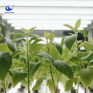 Full Spectrum LED Plant Growth Light Is Suitable <strong>for</strong> All <strong>Stages</strong> of Seedling Cultivation, Growth, Flowering, and Fruiting - Product Image 3