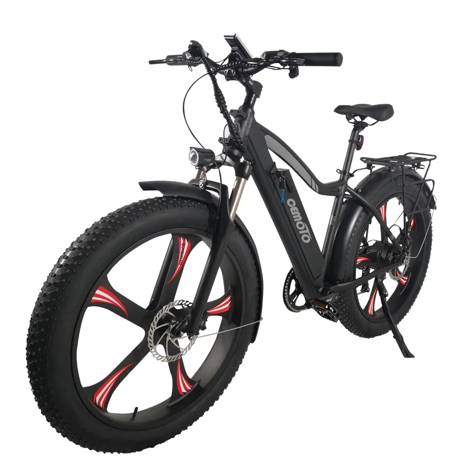 Bici elettrica grassa economica 250 W /500 W/1000 w bicicletta elettrica 48 V bici elettrica Mountain Bike elettrica