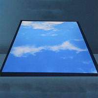 Nouveau modèle décoratif Artifital Skylight 2x4 Sky Blue Panel Light,Blue Led Sky Light Panel Window
