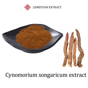 Extrait de Cynomorium Songaricum : Soutien Rénal et Stimulant de Vitalité – Poudre Pure Naturelle Suo Yang 10:1 20:1 – Personnalisable en Vrac - Product Image 1