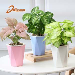 Cina fornisce a buon mercato rotondo PP materiale di <span class=keywords><strong>plastica</strong></span> blu vaso di fiori per piante <span class=keywords><strong>da</strong></span> <span class=keywords><strong>giardino</strong></span> <span class=keywords><strong>vasche</strong></span> e vasi - Product Image 5