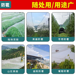 Hail Protection Net Polyethylene Virgin Material Anti-Uv For Vineyards Vegetable Farms Flower Agriculture - Product Image 3