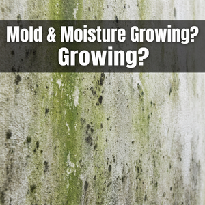 Revestimiento Impermeabilizante Antimoho para Paredes Exteriores, Revestimiento de Prevención de Moho, Prevención de Hongos - Product Image 2