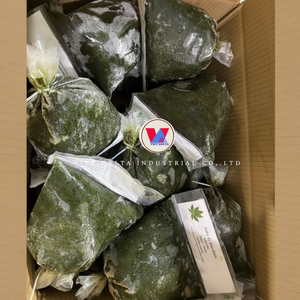 Pasta de Hoja de Yuca Congelada al por Mayor |   Fabricante de Vietnam - Product Image 1