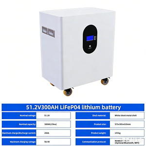 Home Energy Storage LiFePO4 Battery 51.2V 100Ah 5kWh <b>Rack</b>-Mounted All-In-One Hybrid Grid/Off-Grid Solar System IP54 Protection - Product Image 3