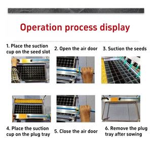 Vari <span class=keywords><strong>semi</strong></span> di <span class=keywords><strong>ortaggi</strong></span> Pin-aspirazione semina in <span class=keywords><strong>vendita</strong></span> - Product Image 4