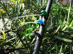 Gocciolatore a bandiera 4L 8L 16L <span class=keywords><strong>per</strong></span> irrigazione da giardino, gocciolatore <span class=keywords><strong>per</strong></span> <span class=keywords><strong>piante</strong></span> <span class=keywords><strong>per</strong></span> tubo da 4/7mm - Product Image 6