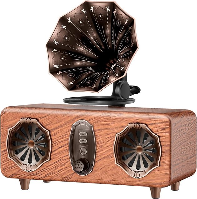 AS36 Retro Bluetooh Speaker Retro Radio with 5.4 Bluetooh Version, FM Radio Bass Vintage Wireless Speaker