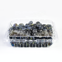 Boîte d'emballage pour fruits Lesui 1LB en plastique PET recyclé, boîte d'emballage pour fruits rouges, boîte à clapet pour myrtilles avec trous