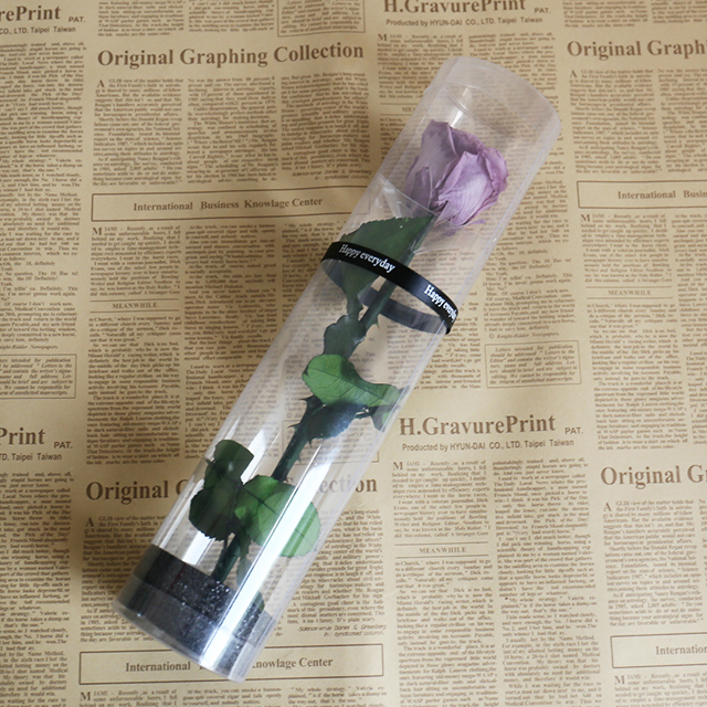 Lavanda