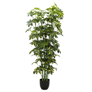 Sombrilla Artificial de simulación para interior, árbol decorativo de 150CM, 5 pies, <span class=keywords><strong>Arboricola</strong></span> - Product Image 3