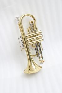 FCT-250高品质Bb短号高端黄色黄铜铅管性能仪器短号带盒价格优惠 - Product Image 6