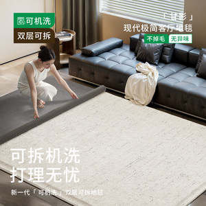 Alfombra Lavable y Extraíble de Doble Capa, Rectangular, de Fibra de Poliéster, para Sala de Estar, Dormitorio y Hogar - Product Image 1