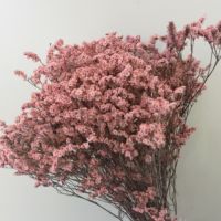Grosir Statice Caspia bunga kering rumput Misty diawetkan Limonium laut Lavender Limonium bunga kering untuk acara dekorasi pernikahan
