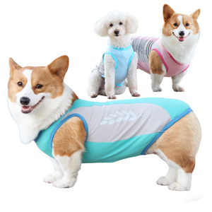 Chaleco Refrigerante para Mascotas, Color Azul Hielo, Ropa Transpirable de Verano para Corgis y Bulldogs Franceses - Product Image 1