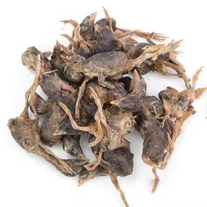Comida para mascotas codorniz liofilizada fuerza orgánica nutritiva deliciosa golosinas para perros y gatos directo de fábrica al por mayor serpientes para gatos - Product Image 1