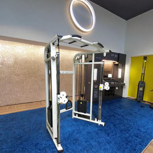 Dispositif d'entraînement commercial à domicile pour petits et grands oiseaux Fonction complète de <span class=keywords><strong>musculation</strong></span> Ventes directes d'usine - Product Image 6