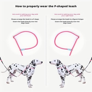 Correa <span class=keywords><strong>de</strong></span> Adiestramiento Antitirones para <span class=keywords><strong>Perros</strong></span>, Cuerda <span class=keywords><strong>de</strong></span> Paseo Ajustable, Collar Deslizante con Cadena <span class=keywords><strong>de</strong></span> Tracción para <span class=keywords><strong>Perros</strong></span> Medianos y Grandes - Product Image 3