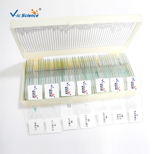 Portaobjetos de Microscopio de Vidrio para Material Didáctico Escolar, 5 Tipos de Portaobjetos Biológicos Preparados para Microscopio, Juego de Plantas y Animales - Product Image 5