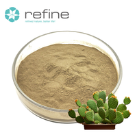 Extrait d'Opuntia Ficus Indica de haute qualité, poudre de cactus naturelle 10:1 20:1, poudre d'extrait de Cactaceae