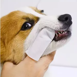 Source factory salviette asciutte monouso personalizzate in tessuto non tessuto per orecchie di gatto denti orali salviette per la pulizia profonda delle dita del cane dentale dell'animale domestico
