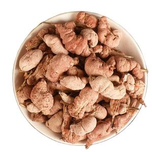 Shiraia bambucola alami murni tumbuh di ranting bambu merah muda seluruh kering jamur Shiraia bambucola untuk dijual - Product Image 1