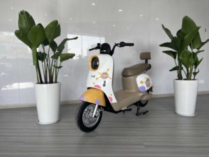 Scooter d'usine 2025, 450 watts, puissant, pour adultes, Thaïlande, Vietnam, Cambodge, moto à deux places - Product Image 2
