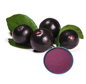 Complément alimentaire en poudre de baies d'açai lyophilisées - Product Image 3
