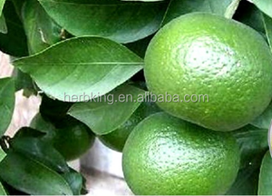 Extrait naturel de peau de mandarine 98% supplément de <span class=keywords><strong>Nobiletin</strong></span> 30% 60% 98% poudre d'extrait de <span class=keywords><strong>Nobiletin</strong></span> 478 - Product Image 2