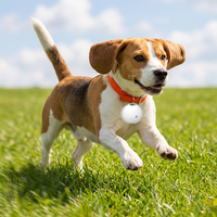 Traceur d'animaux de compagnie haut de gamme avec suivi de l'emplacement des oiseaux et batterie longue durée d'un an pour chiens, chats, localisateur d'animaux de compagnie