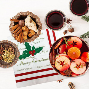 Servilletas Desechables Decorativas Vintage, Paquete de 20, Impresas y Temáticas para Picnic, Fiesta, Navidad, Quinceañera - Product Image 5