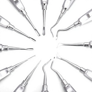 Producto Dental: 12 Herramientas Dentales de Diferentes Puntas, Instrumento Quirúrgico de Acero Inoxidable Plateado y 12 Bolsas con Cierre - Product Image 2