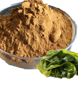 Extracto Natural de Algas Marinas con Alto Contenido de Polisacáridos de Algas Marinas, Producto Alimenticio y de Salud, Materia Prima - Product Image 1