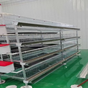 3 Tiers A-Type Layer Chicken Cage <strong>Galvanized</strong> Wire Poultry Cage with Automatic <strong>Watering</strong> &amp; Feeding <strong>Trough</strong> for Egg Laying Hens - Product Image 4