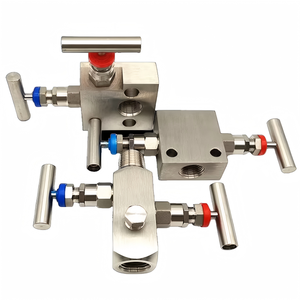 หัวเข็มสเตนเลสสตีลแบบแข็ง 1/2 NPT สำหรับระบบ High Double Block และ Bleed Two Manifold - Product Image 1