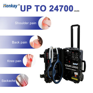 Boucle PEMF pour chevaux, X Wings, champ électromagnétique pulsé, santé et blessures, magnétothérapie PEMF pour chevaux - Product Image 1