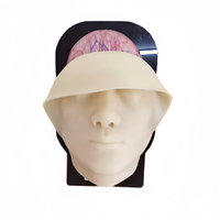 Modelo Facial Transparente Zhizao para Inyecciones Viales y Nerviosas, para Entrenamiento de Vasos Sanguíneos, Modelo Facial Médico y Cosmético